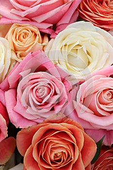 Group of white roses, wedding decorations