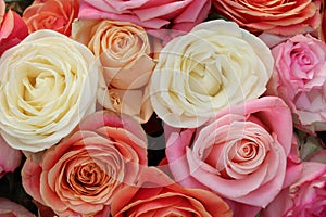 Group of white roses, wedding decorations