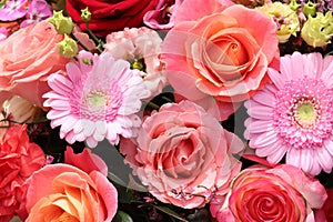 Group of white roses, wedding decorations