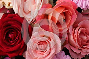 Group of white roses, wedding decorations