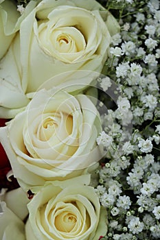 Group of white roses, wedding decorations