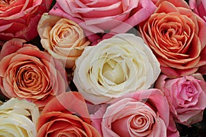 Group of white roses, wedding decorations