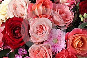 Group of white roses, wedding decorations