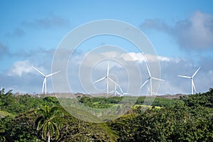 Group of white windmills in the middle of a green forest on a sunny day