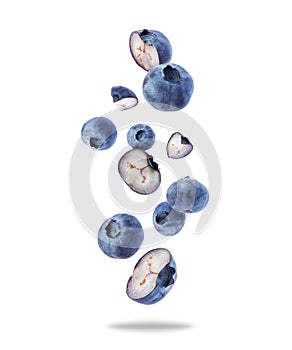 Group of whole and sliced blueberries close up in the air isolated on a white background