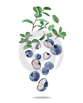Group of whole and sliced blueberries with leaves close up in the air on a white background