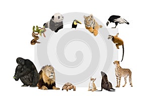 Group of wild animals around a blank poster