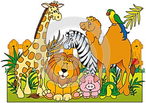 A group of wild animals