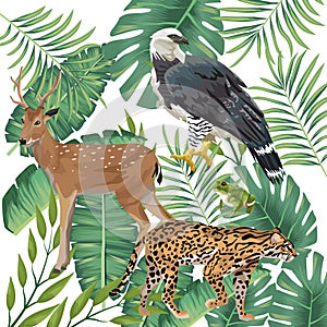 Group of wild and exotic animals