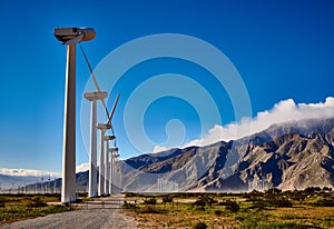Group of Windmills with Gravel Road and Gate