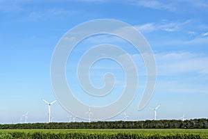 Group of windmills for renewable energy