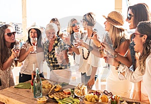 Group of women in friendship enjoying a party on the terrace toasting with red wine. Vegan food on the wooden table. Simplicity