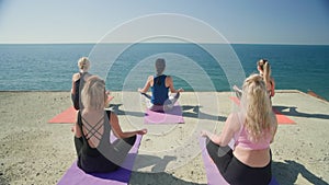 Group of women meditating in lotus pose by sea sitting on mats, rear view.