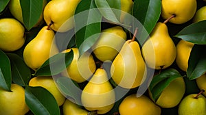 A group of yellow pears with green leaves