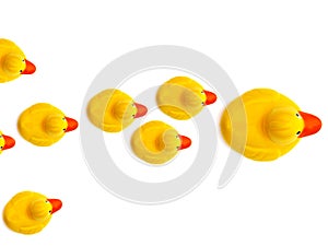 Group a yellow rubber ducks