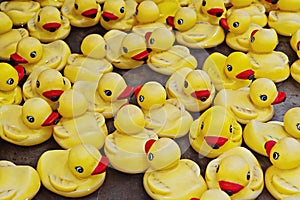 Group of yellow rubber ducks closeup view. Rubber duck race festival concept