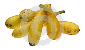 Group of yellow summer squash on a white background