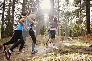 Group of young adult women running in a forest, back view