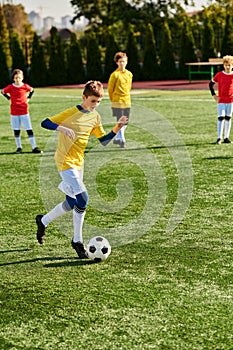 A group of young boys energetically