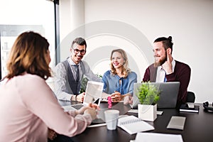 A group of young business people sitting in an office, having meeting.