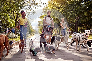 A group of young cheerful dog walkers in the park are having fun while walking dogs in the park. Pets, walkers, service