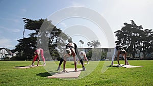 Group of young females practicing yoga on the seaside during the day. Green Grass.