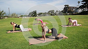 Group of young females practicing yoga on the seaside during the day. Green Grass.