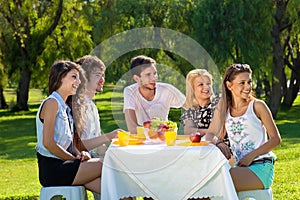 Group of young friends having a picnic