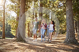 Group Of Young Friends On Hiking Adventure In Countryside