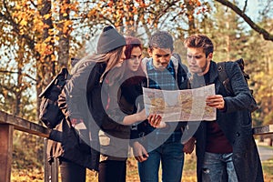 Group of young friends hiking in autumn colorful forest, looking at map and planning hike.