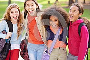 Group Of Young Girls Hanging Out In Park Together