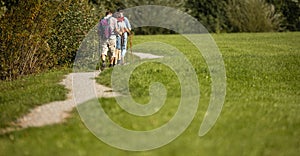 Group of young hikers walk in a row along the road