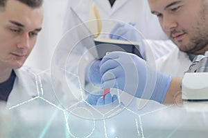 Group of young Laboratory scientists working at lab with test tubes and microscope, test or research in clinical laboratory.