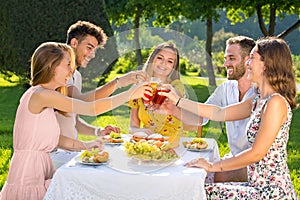 Group of young people having picnic party outdoors in park, clinking glasses