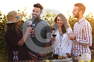 Group of young people tasting wine in winery near vineyard