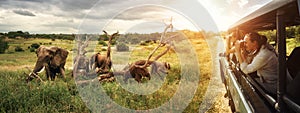 Group of young people watch and photograph wild elephants on safari tour in national park. Island Sri Lanka. photo