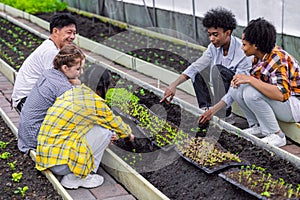 group of young school teenager learning plant vegetable nursery agriculture farm gardening in greenhouse