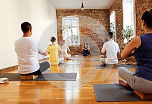 Group of young sporty attractive people practicing yoga lesson with instructor