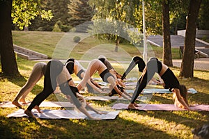 Group of young sporty people doing Adho Mukha Svanasana in city park at dawn