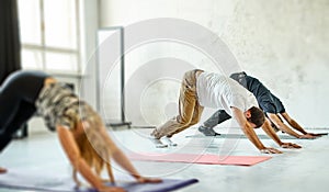 Group of young sporty people practicing, together working out, indoor, studio.