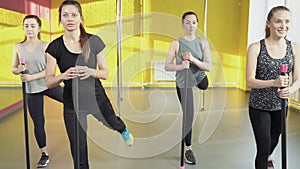 Group of young women doing pilates exercises working with trainer in fitness studio