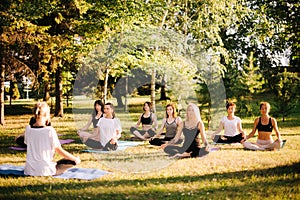 Group of young women are meditating in park on summer sunny morning