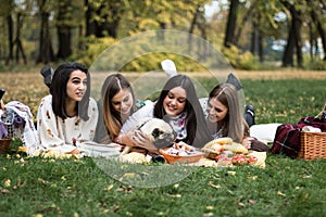 Group of young women outdoors on a picnic with a pug dog
