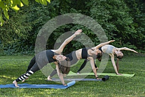 Group of young women practice yoga in the morning in the park. Girls do gymnastics outside