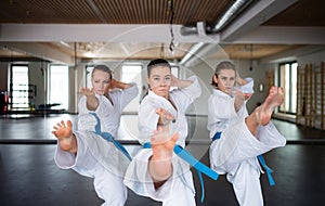 Group of young women practising karate indoors in gym.