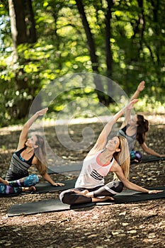 Group of youngsters practice yoga in tranquility of nature