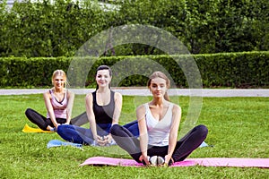 Groupe of beautiful healthy slimy women doing exersices on the green grass in the park, siting on mat in lotus poses and