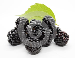 Groupe of Fresh juicy blackberries and leaf on white background photo