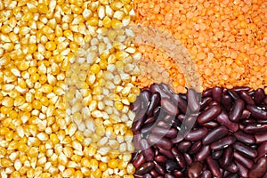 Grouped corn, lentils and beans