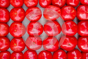 Grouped tomatoes red lines background